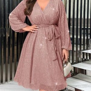 Elegant Dusty Pink Dress